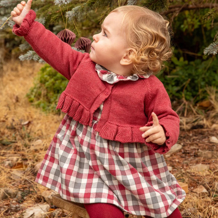 Burgundy & Grey Gingham Dress & Tights