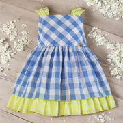 Blue & White Check Sleeveless Dress